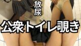 H 283pmft00131pl